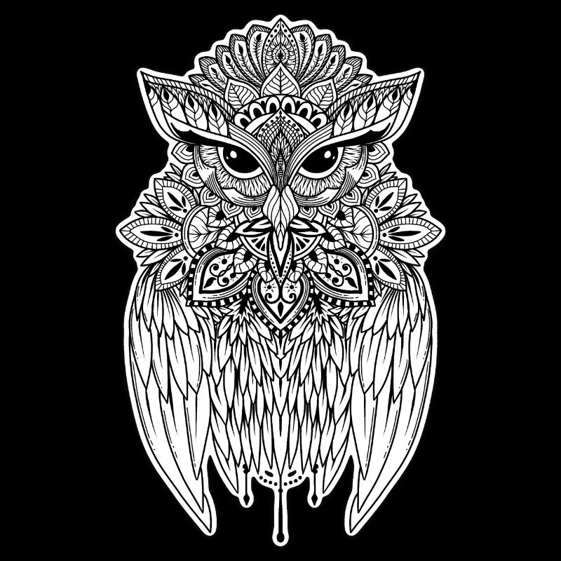 Owl the Guardian
