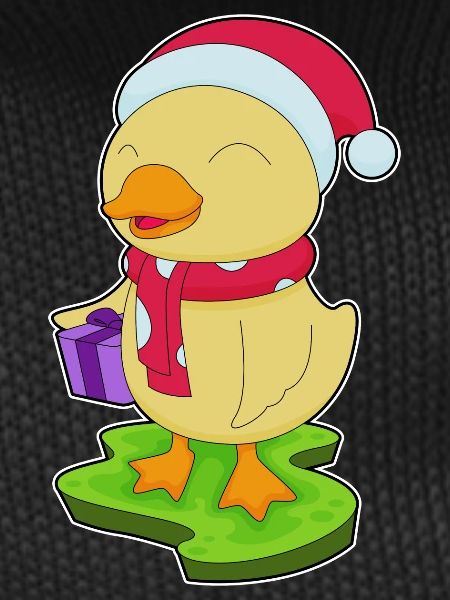 Duck Christmas Package