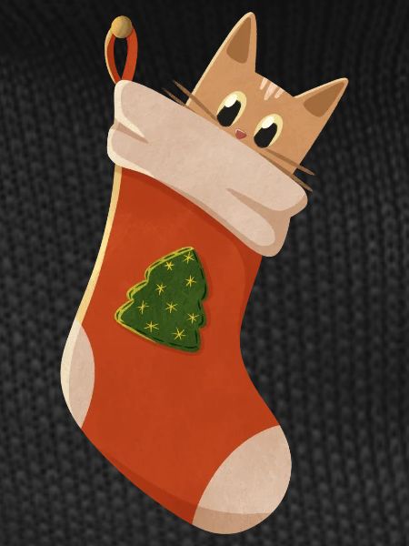 Cute kitten in boots