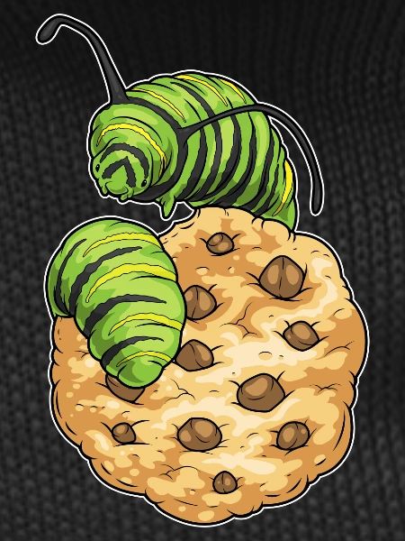 Biscuit chenille