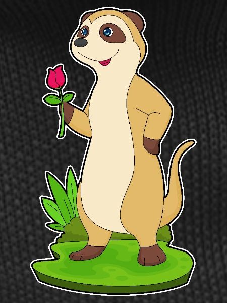 Meerkat Rose