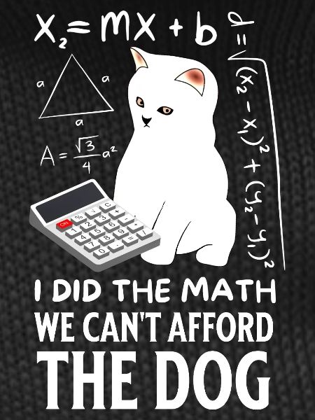 Humorous Cat Math Design