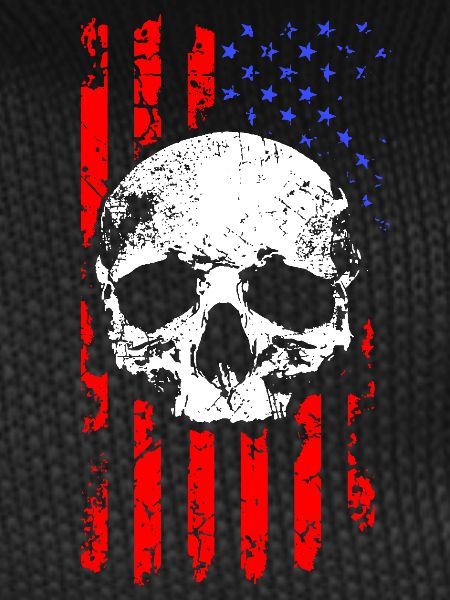 American Flag Skull