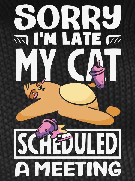 Sorry I'm late.