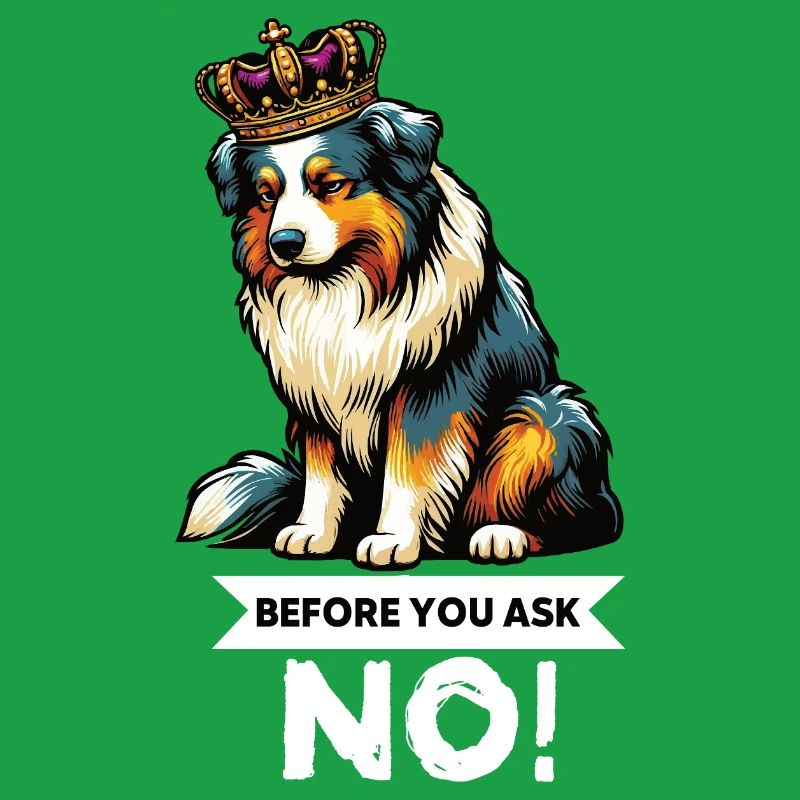 Before You Ask Australian Shepherd Aussie Aussies