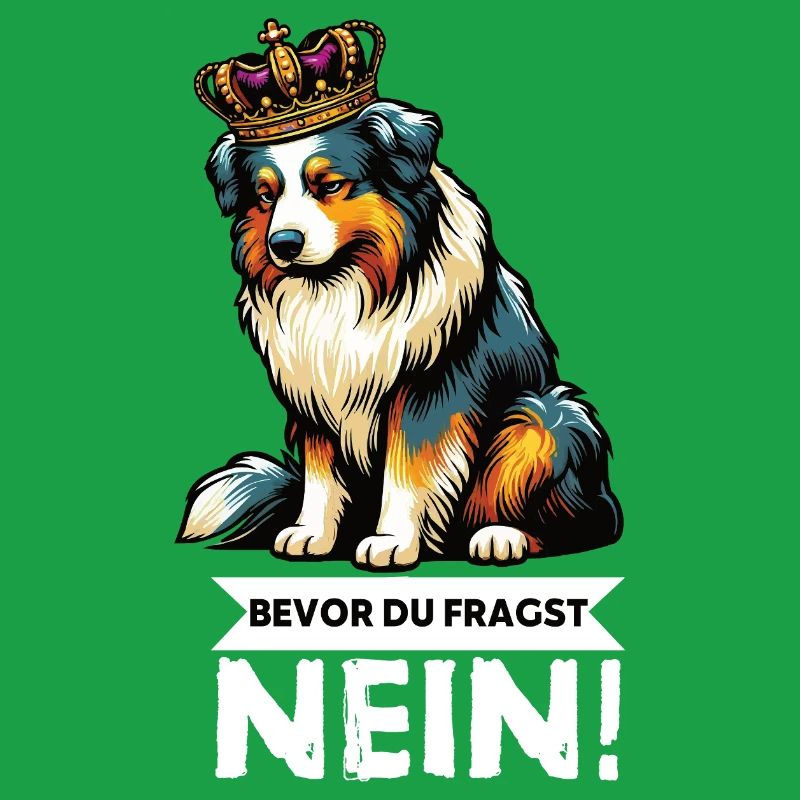 Before you ask: Australian Shepherd Aussie Aussie