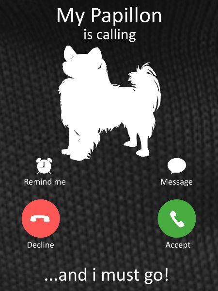 Papillon Dog Calling Smartphone Interface