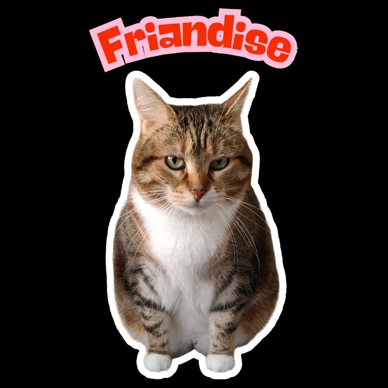 Missty friandise