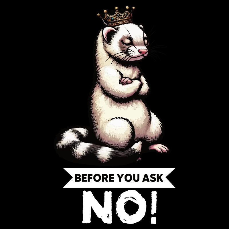 Before You Ask Frettchen Frettchenbesitzer Nager