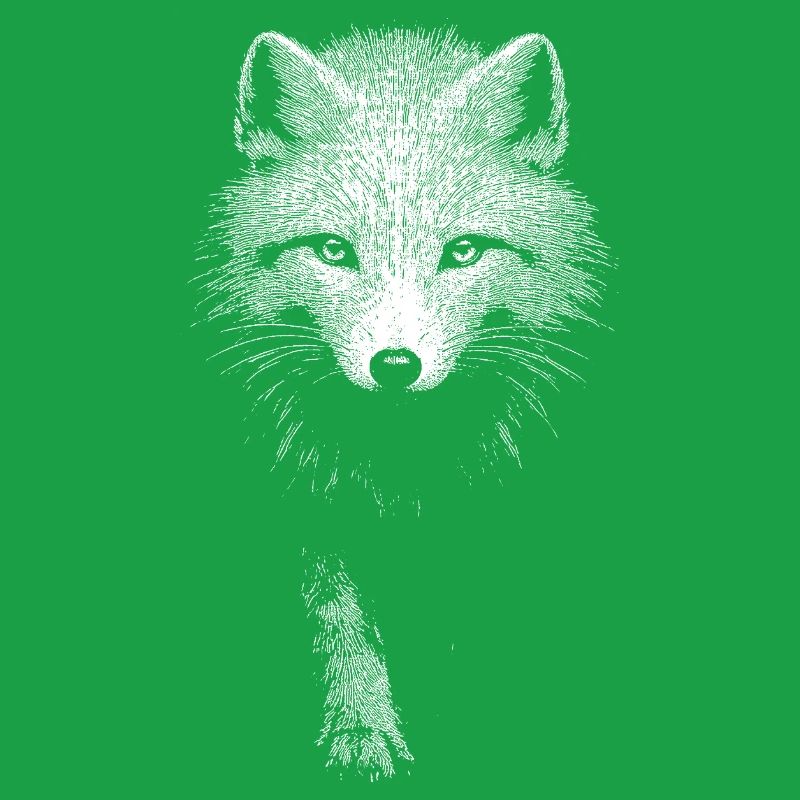 Polarfuchs