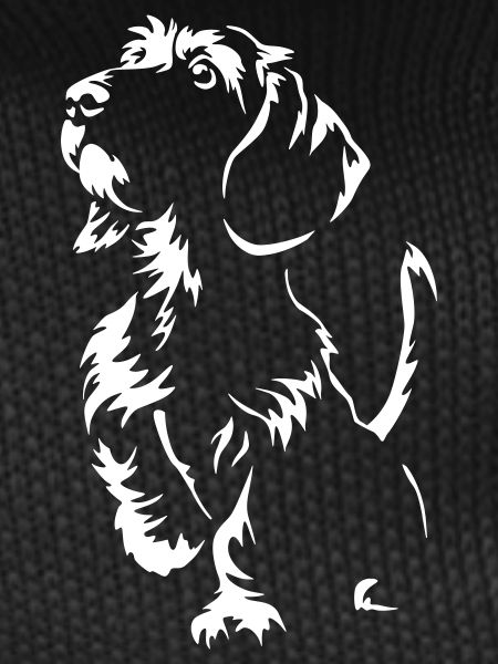 Dachshund "Black Edition"