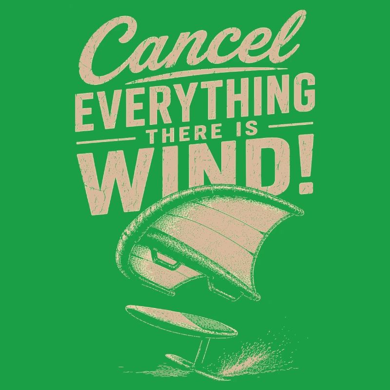 Windstorm Windsurf Statement