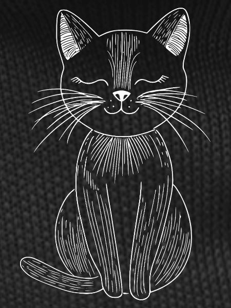 Cat Sketch