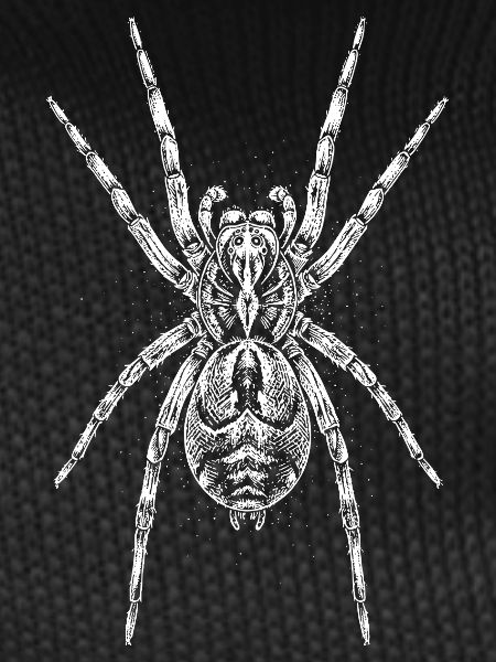Midnight Spider Mandala