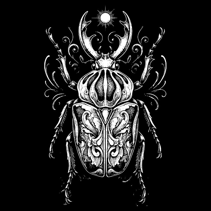 Conception anatomique des insectes