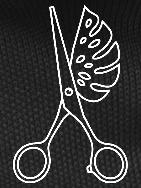 Scissors & Monstera