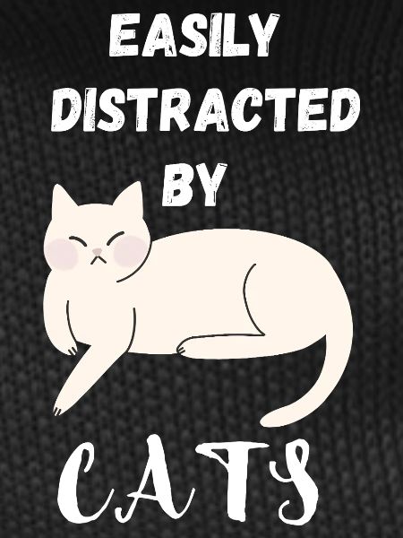 Easily distracted by Cats
