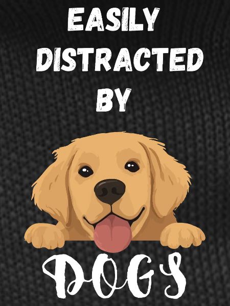 Easily distracted by Dogs