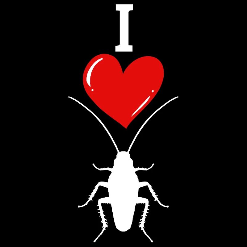 insecte cafard