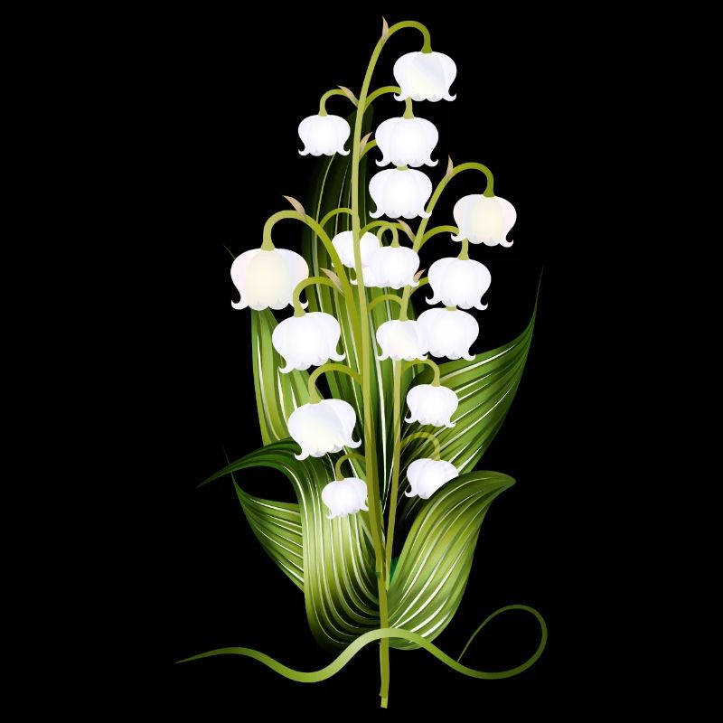 delicate lily of the valley arrangement as a spring greeting