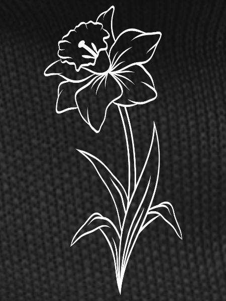 Narcisse