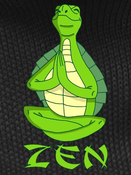 Yogi Turtle