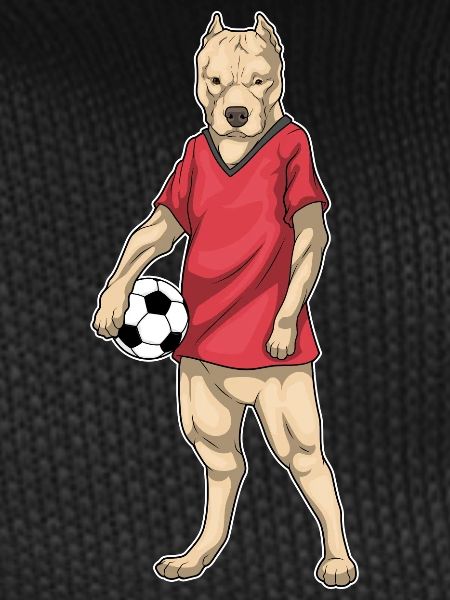 Pitbull Soccer Player Soccer