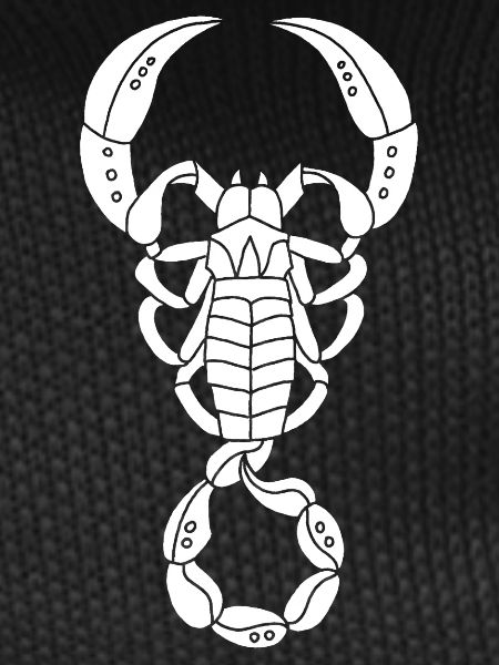 White Scorpion