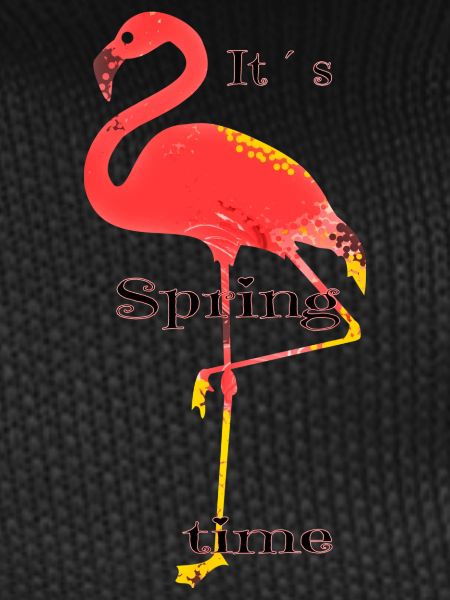 Flamingo
