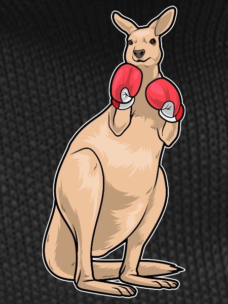 Kangaroo Boxer Boxing Gloves Boxing