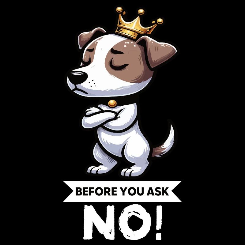 Before You Ask Jack Russel terrier Jack russel dog