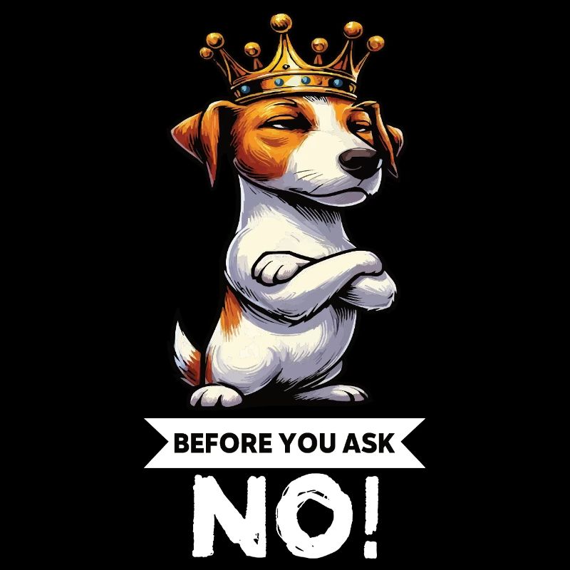 Avant de demander Jack Russel terrier Jack Russel chien