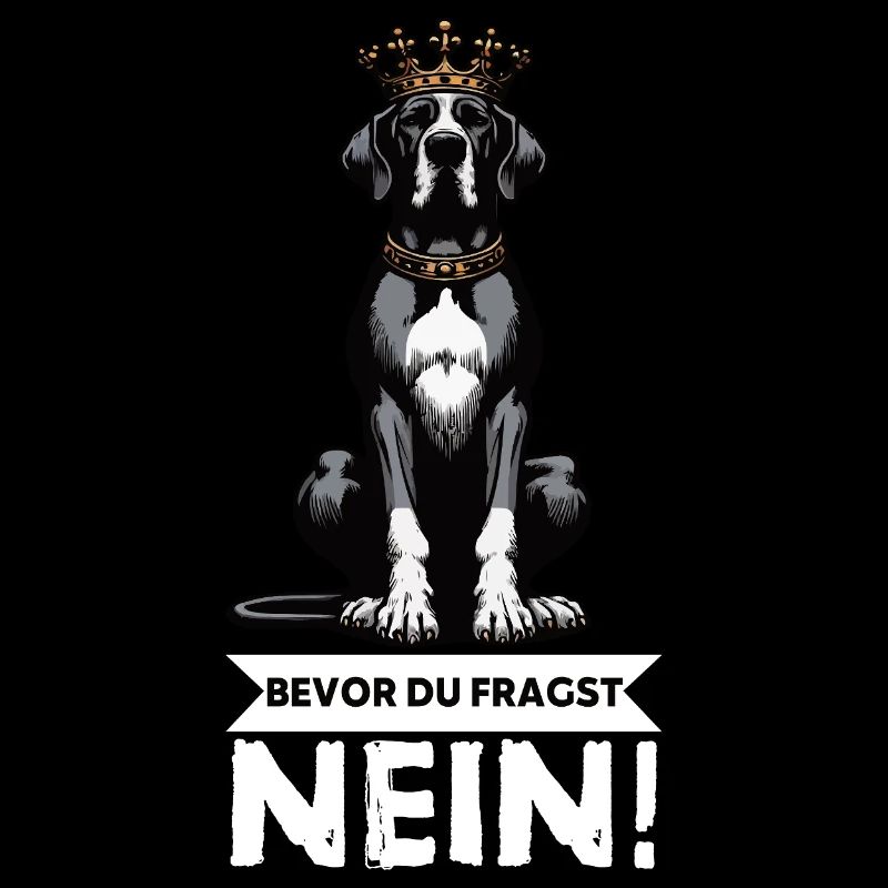 Before you ask Great Dane Great Dane owner
