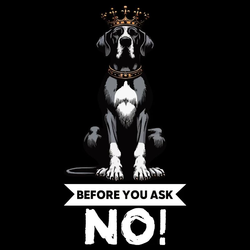 Before You Ask Great Dane Great Dane Owner
