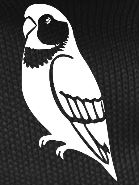 Parrots Bird Geshenk