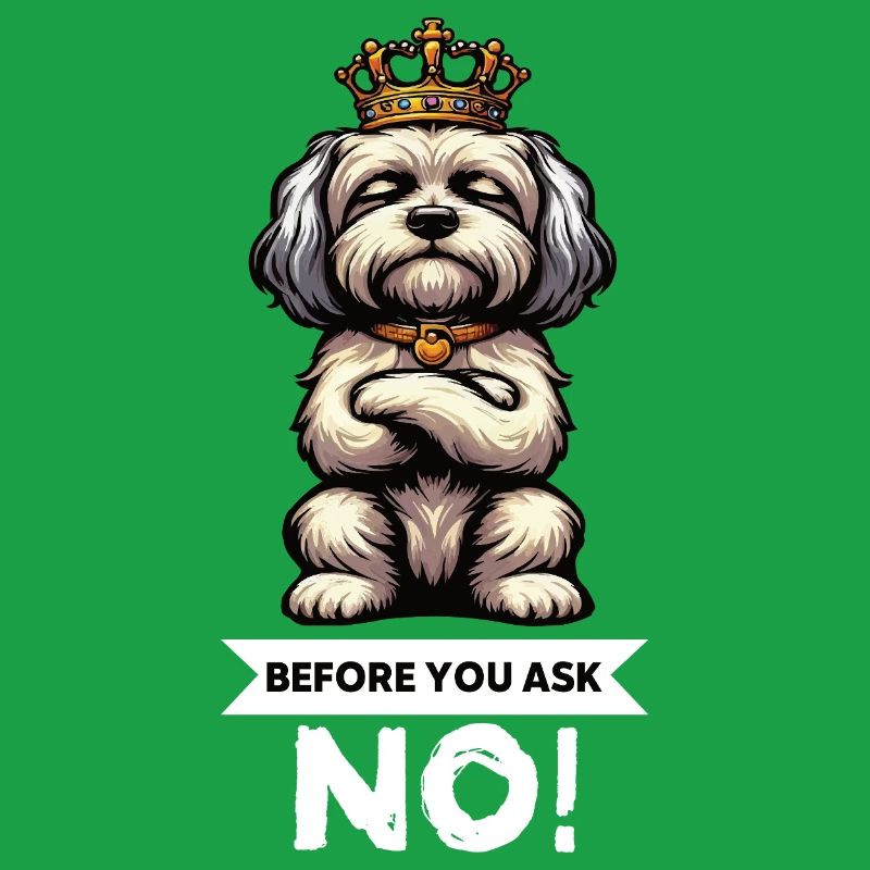 Before You Ask Havanese Havanese Keepers Havanese