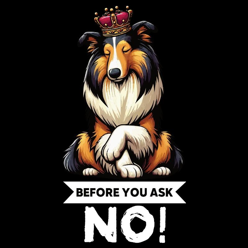 Before You Ask Collie Collieowner Collies