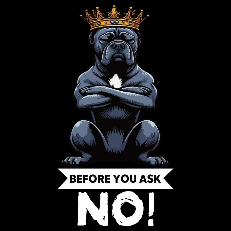 Before You Ask Cane Corso Cane Corsos Corso halter