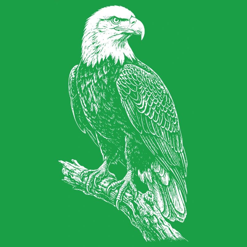 Perched Eagle Silhouette