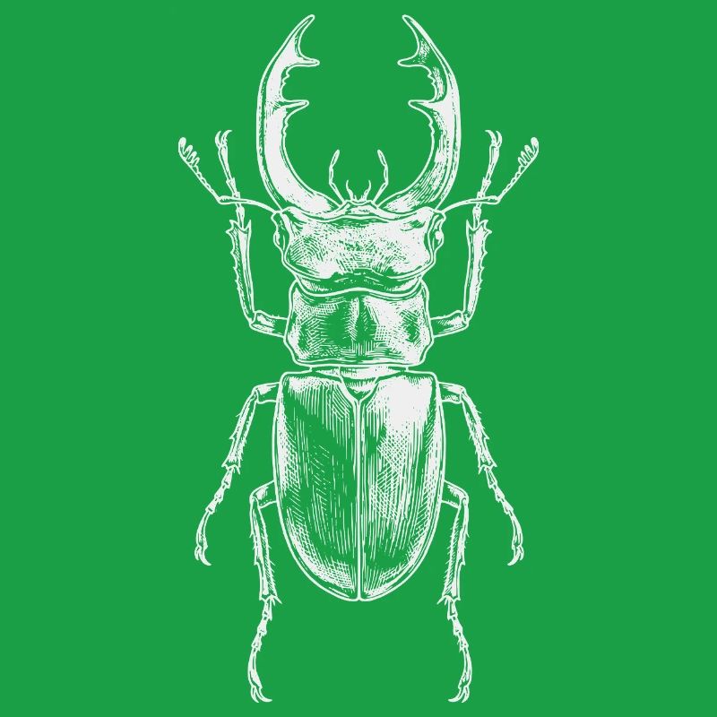 Conception de gros insectes