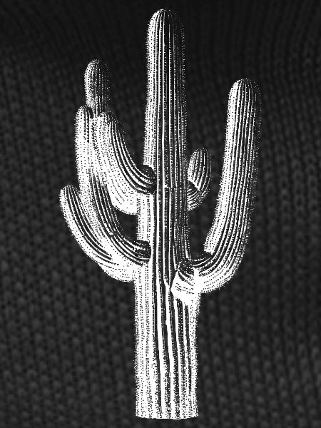 Desert Saguaro Silhouette Tee