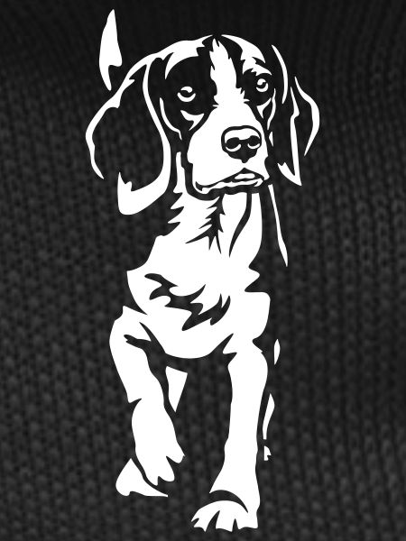 Beagle "Black Edition"