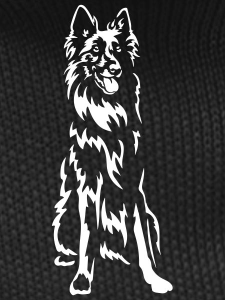 Groenendael "Black Edition"