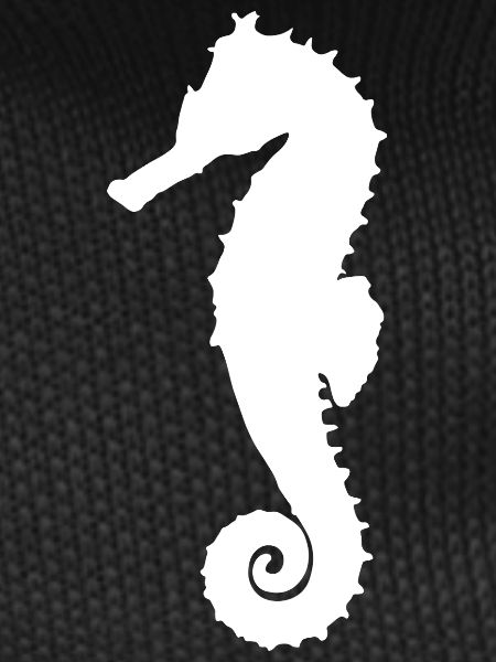 Seahorse white
