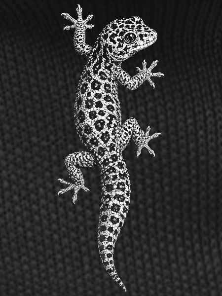 leopard gecko