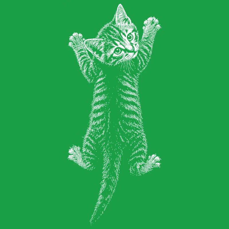 Kitten