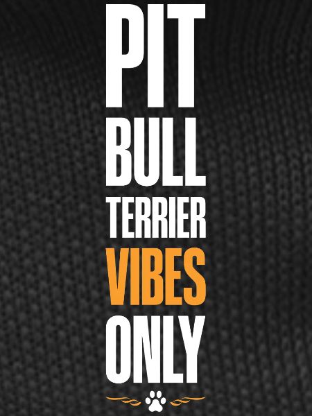 Pitbull Terrier Vibes Only