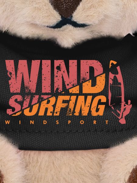 WINDSURFING windsurfing