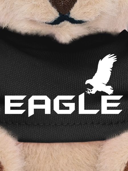 Aigle - aigle