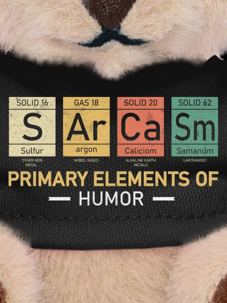 Sarcasm Humor